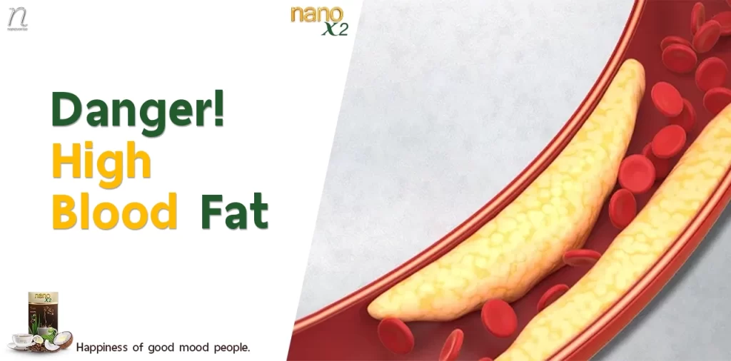 Illustration of blood vessel with high blood fat, warning about the dangers of high blood fat levels with nanoX2 product from nanoverse